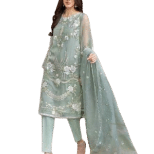 New Arrivals ladies suit